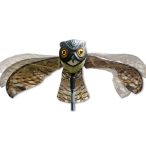 prowler-owl