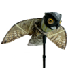 prowler-owl-side