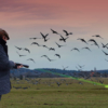 Agrilaser Handheld Bird Repellent - Open Field