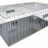 pigeon-trap-cage