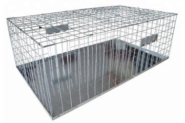 https://promptpestcontrol.com/wp-content/uploads/2021/05/pigeon-trap-cage.jpg