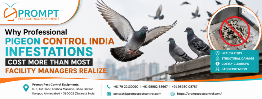 Professional Pigeon Control India
